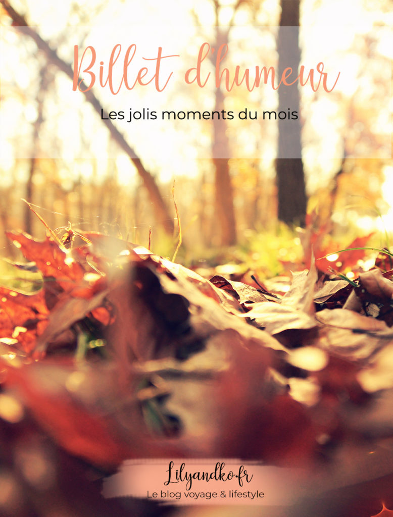 Photo pinterest automne les jolis moments du mois