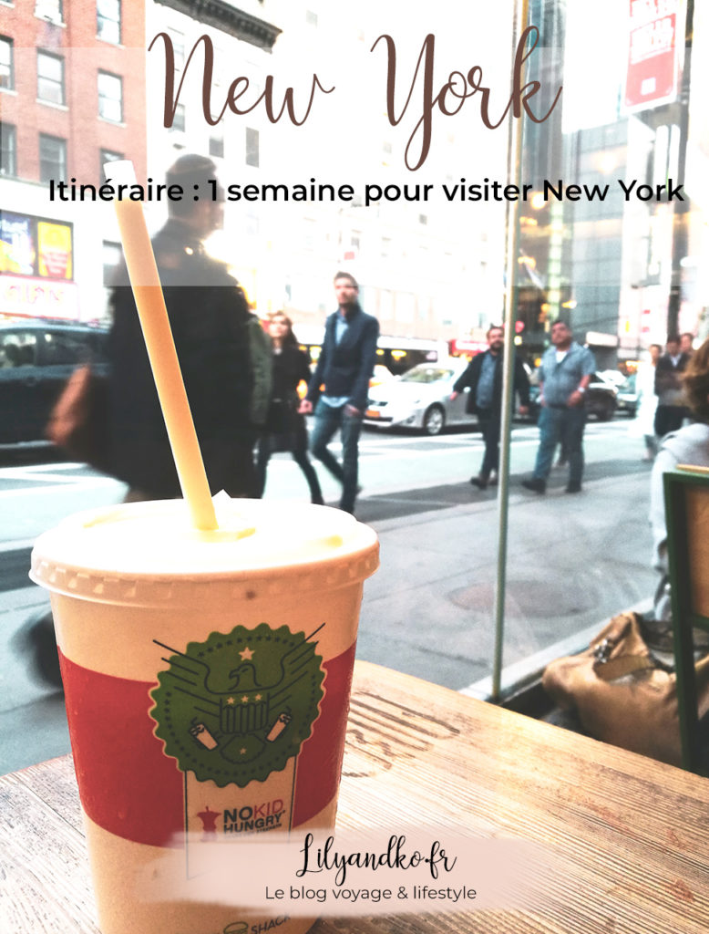 Pinterest itinéraire 1 semaine à new york