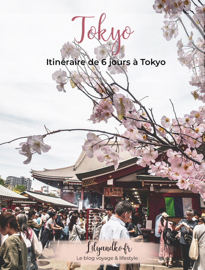 Pinterest bannière itinéraire 6 jours à Tokyo