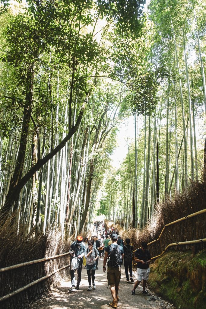Découvrir Kyoto- Foret Arashiyama